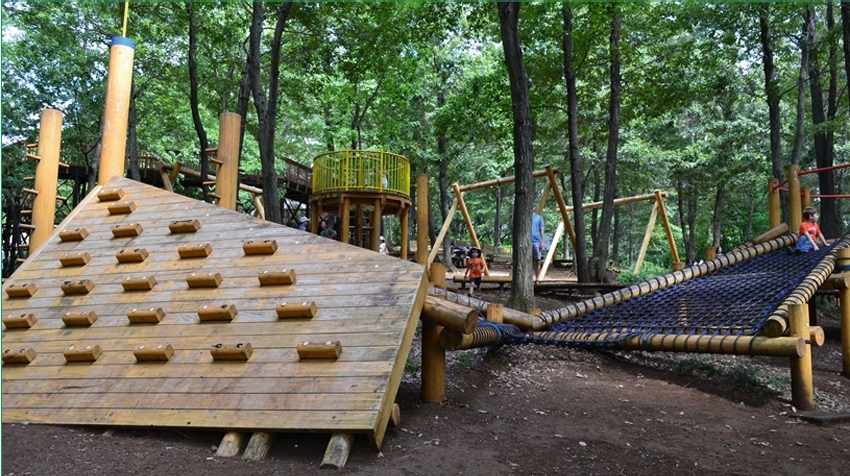 Multi Activity Tower